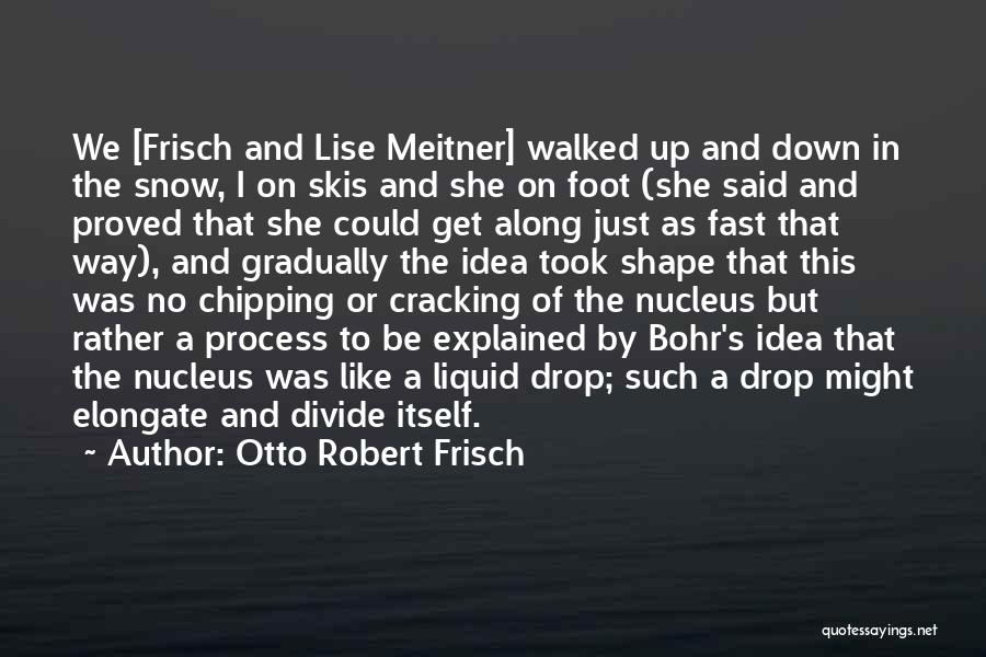 Otto Robert Frisch Quotes: We [frisch And Lise Meitner] Walked Up And Down In The Snow, I On Skis And She On Foot (she
