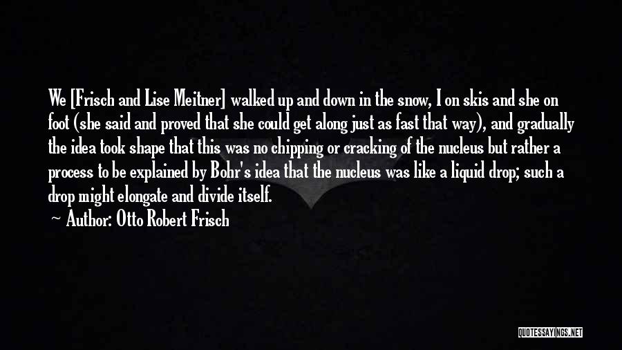 Otto Robert Frisch Quotes: We [frisch And Lise Meitner] Walked Up And Down In The Snow, I On Skis And She On Foot (she