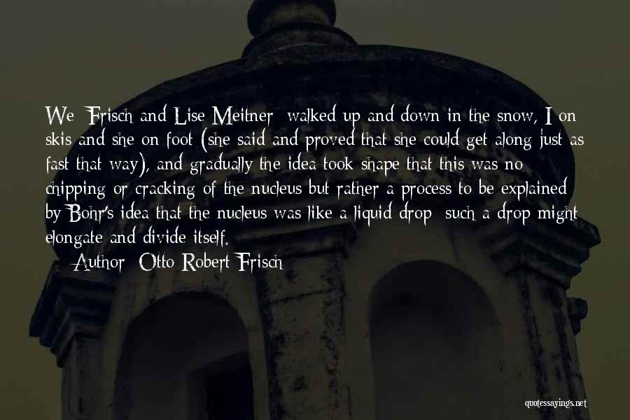 Otto Robert Frisch Quotes: We [frisch And Lise Meitner] Walked Up And Down In The Snow, I On Skis And She On Foot (she