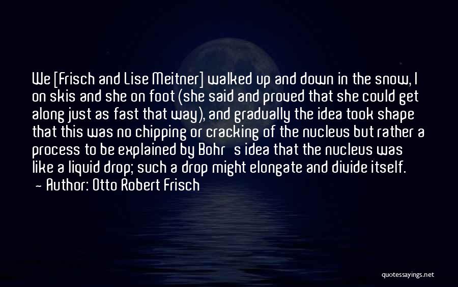 Otto Robert Frisch Quotes: We [frisch And Lise Meitner] Walked Up And Down In The Snow, I On Skis And She On Foot (she