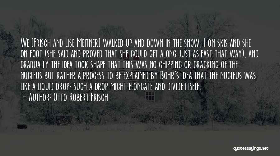 Otto Robert Frisch Quotes: We [frisch And Lise Meitner] Walked Up And Down In The Snow, I On Skis And She On Foot (she