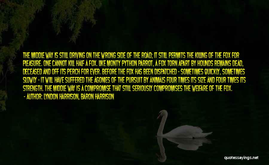 Lyndon Harrison, Baron Harrison Quotes: The Middle Way Is Still Driving On The Wrong Side Of The Road; It Still Permits The Killing Of The