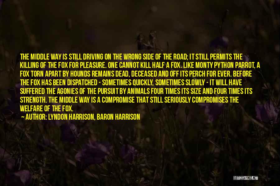 Lyndon Harrison, Baron Harrison Quotes: The Middle Way Is Still Driving On The Wrong Side Of The Road; It Still Permits The Killing Of The