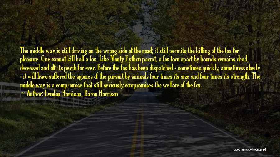 Lyndon Harrison, Baron Harrison Quotes: The Middle Way Is Still Driving On The Wrong Side Of The Road; It Still Permits The Killing Of The