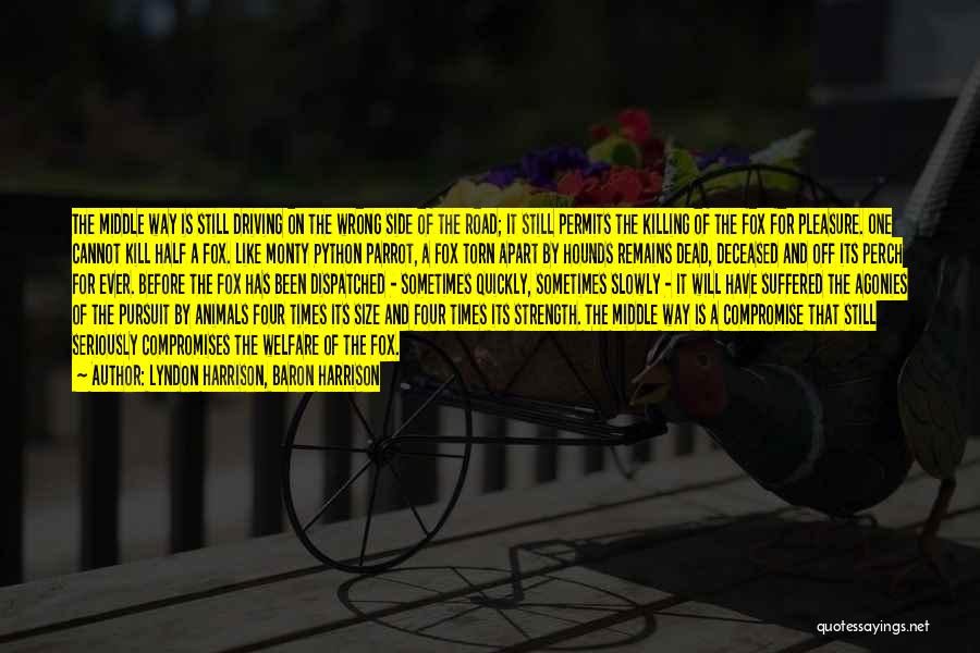 Lyndon Harrison, Baron Harrison Quotes: The Middle Way Is Still Driving On The Wrong Side Of The Road; It Still Permits The Killing Of The