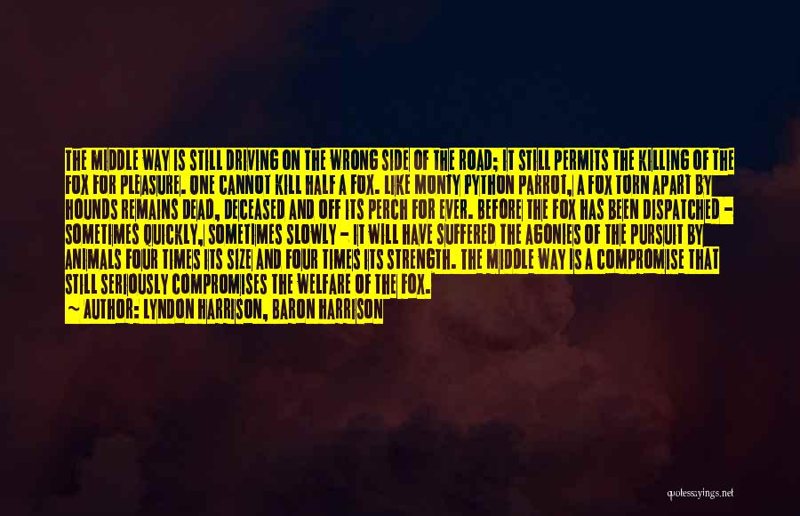 Lyndon Harrison, Baron Harrison Quotes: The Middle Way Is Still Driving On The Wrong Side Of The Road; It Still Permits The Killing Of The