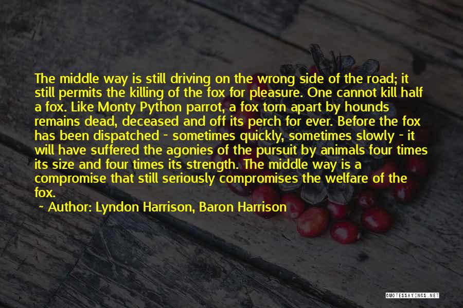 Lyndon Harrison, Baron Harrison Quotes: The Middle Way Is Still Driving On The Wrong Side Of The Road; It Still Permits The Killing Of The