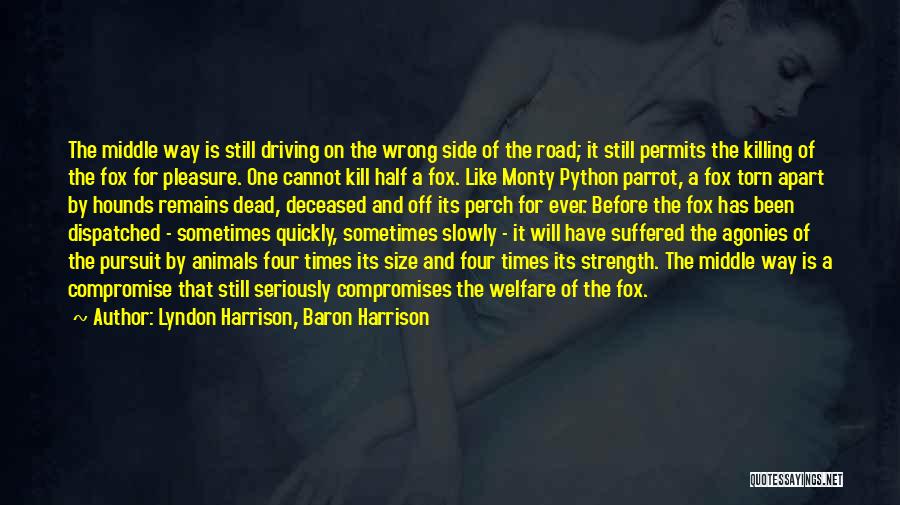 Lyndon Harrison, Baron Harrison Quotes: The Middle Way Is Still Driving On The Wrong Side Of The Road; It Still Permits The Killing Of The