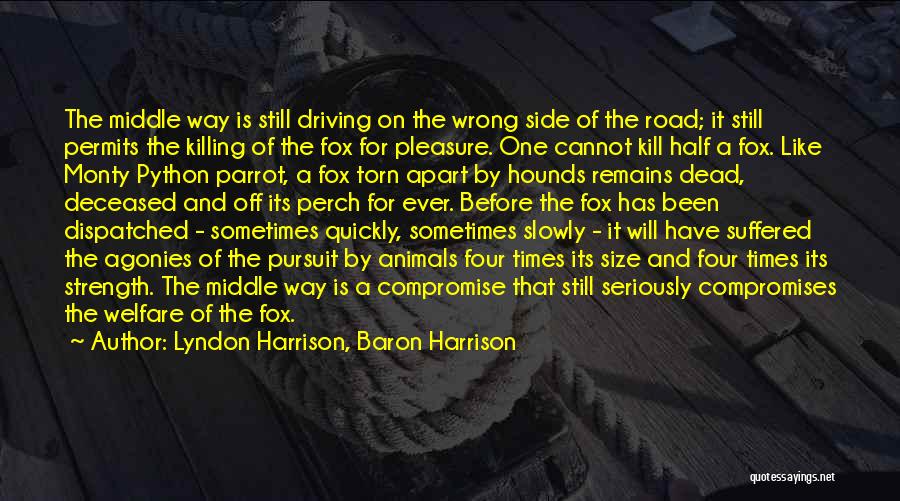 Lyndon Harrison, Baron Harrison Quotes: The Middle Way Is Still Driving On The Wrong Side Of The Road; It Still Permits The Killing Of The