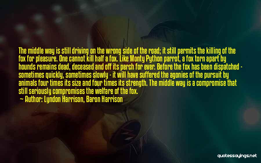 Lyndon Harrison, Baron Harrison Quotes: The Middle Way Is Still Driving On The Wrong Side Of The Road; It Still Permits The Killing Of The