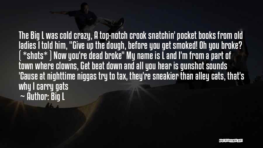 Big L Quotes: The Big L Was Cold Crazy, A Top-notch Crook Snatchin' Pocket Books From Old Ladies I Told Him, Give Up
