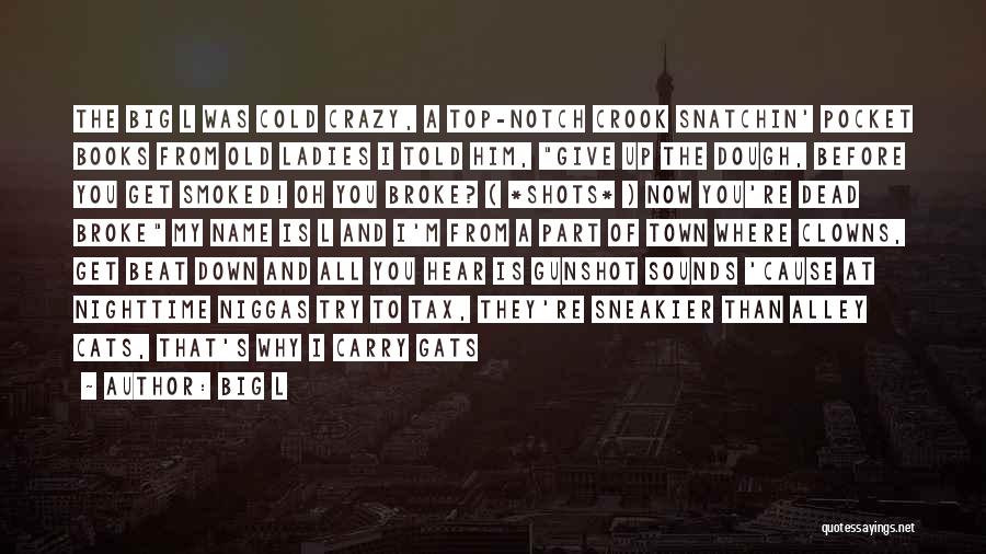 Big L Quotes: The Big L Was Cold Crazy, A Top-notch Crook Snatchin' Pocket Books From Old Ladies I Told Him, Give Up