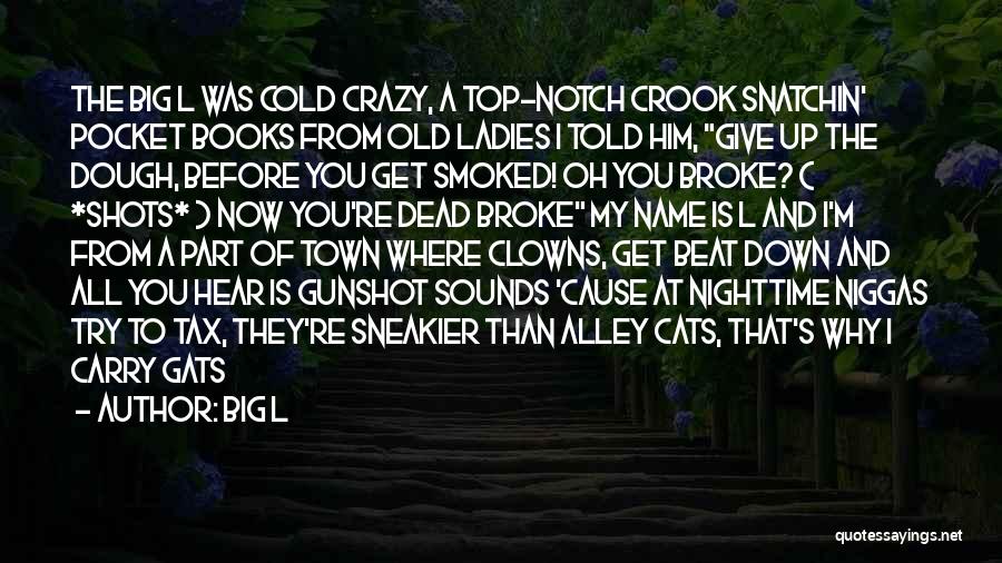 Big L Quotes: The Big L Was Cold Crazy, A Top-notch Crook Snatchin' Pocket Books From Old Ladies I Told Him, Give Up