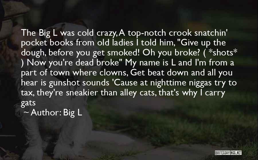 Big L Quotes: The Big L Was Cold Crazy, A Top-notch Crook Snatchin' Pocket Books From Old Ladies I Told Him, Give Up