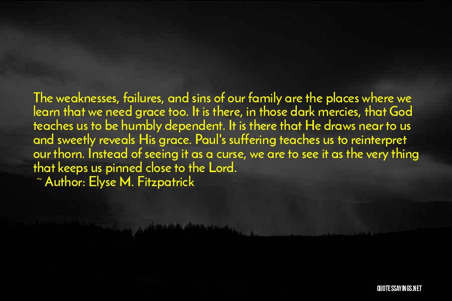 Elyse M. Fitzpatrick Quotes: The Weaknesses, Failures, And Sins Of Our Family Are The Places Where We Learn That We Need Grace Too. It