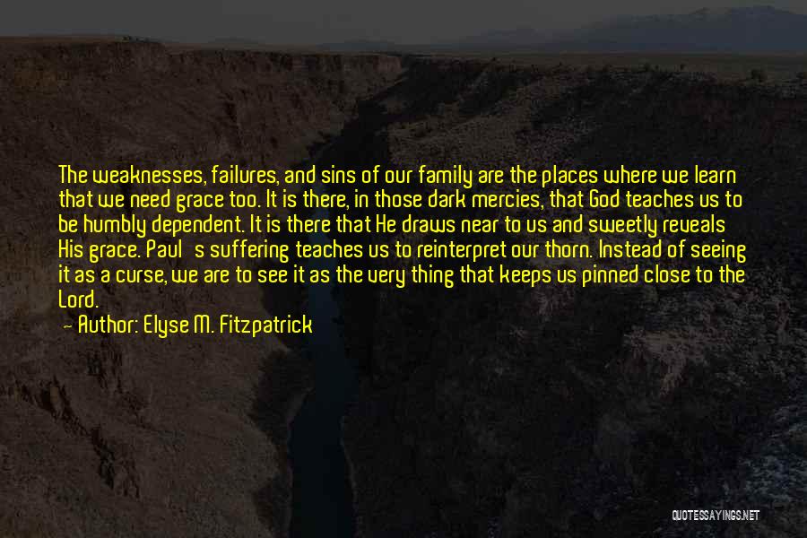 Elyse M. Fitzpatrick Quotes: The Weaknesses, Failures, And Sins Of Our Family Are The Places Where We Learn That We Need Grace Too. It