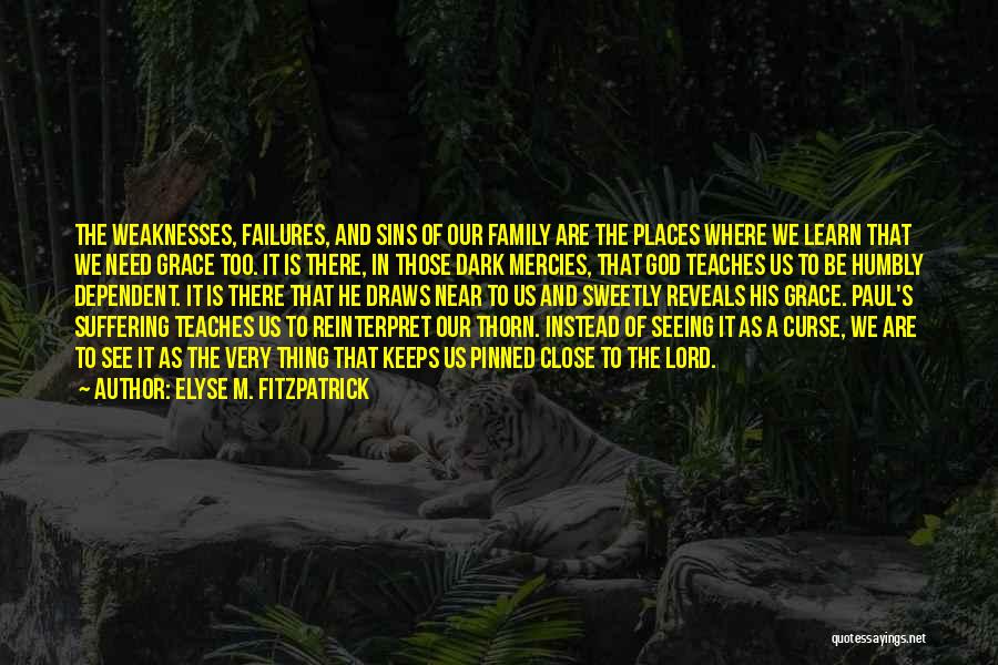 Elyse M. Fitzpatrick Quotes: The Weaknesses, Failures, And Sins Of Our Family Are The Places Where We Learn That We Need Grace Too. It