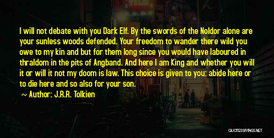 J.R.R. Tolkien Quotes: I Will Not Debate With You Dark Elf. By The Swords Of The Noldor Alone Are Your Sunless Woods Defended.