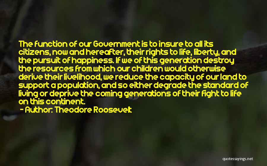 Theodore Roosevelt Quotes: The Function Of Our Government Is To Insure To All Its Citizens, Now And Hereafter, Their Rights To Life, Liberty,