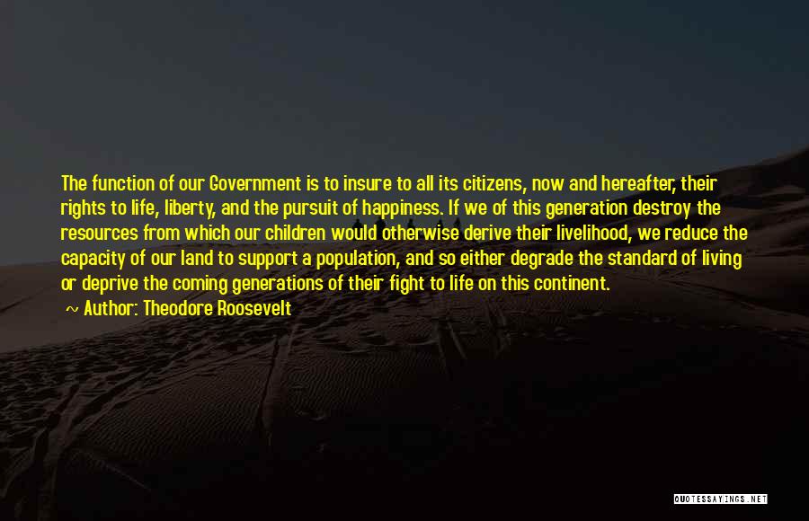 Theodore Roosevelt Quotes: The Function Of Our Government Is To Insure To All Its Citizens, Now And Hereafter, Their Rights To Life, Liberty,