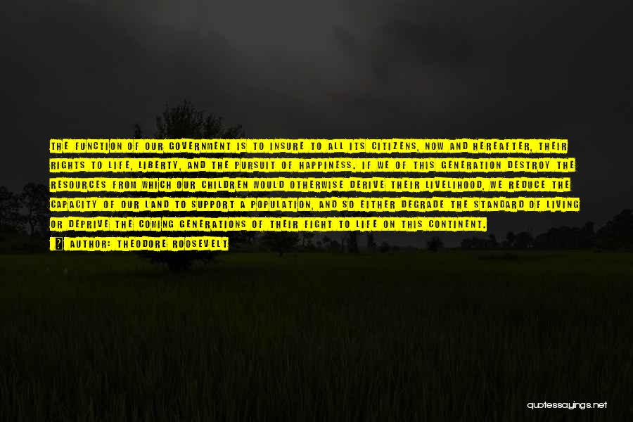 Theodore Roosevelt Quotes: The Function Of Our Government Is To Insure To All Its Citizens, Now And Hereafter, Their Rights To Life, Liberty,