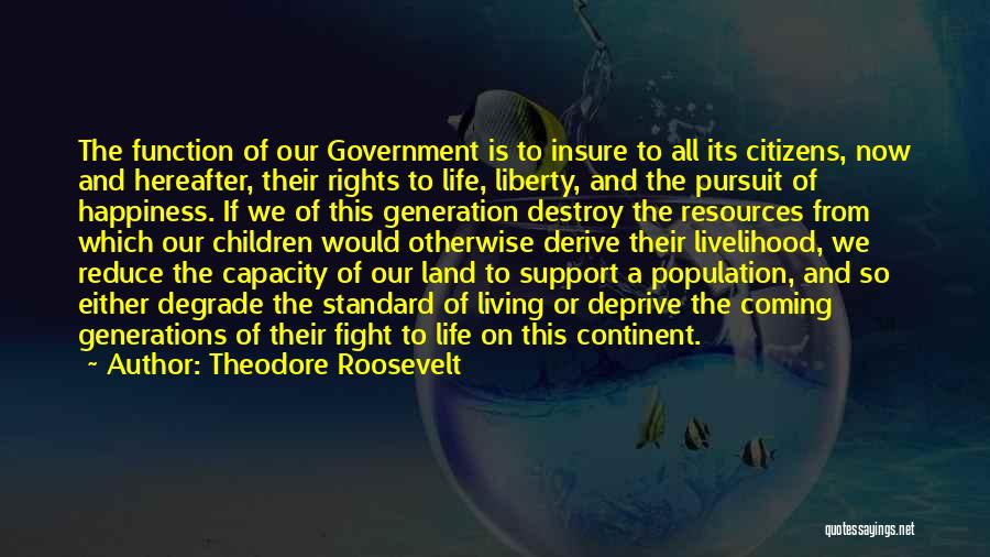 Theodore Roosevelt Quotes: The Function Of Our Government Is To Insure To All Its Citizens, Now And Hereafter, Their Rights To Life, Liberty,