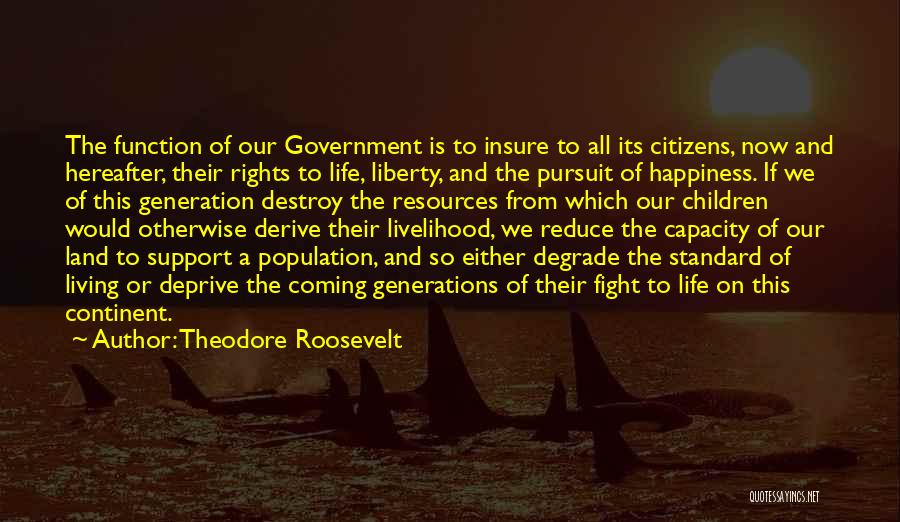 Theodore Roosevelt Quotes: The Function Of Our Government Is To Insure To All Its Citizens, Now And Hereafter, Their Rights To Life, Liberty,