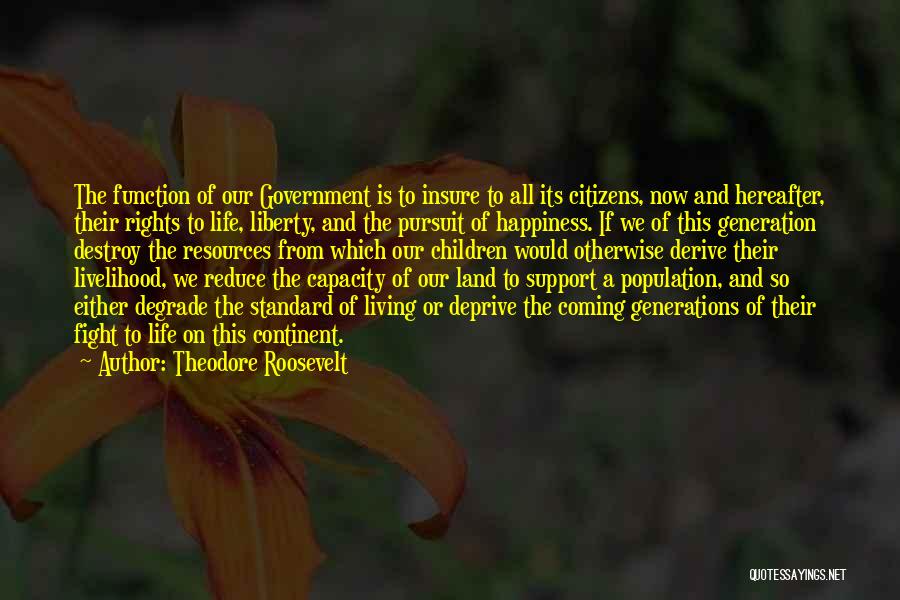Theodore Roosevelt Quotes: The Function Of Our Government Is To Insure To All Its Citizens, Now And Hereafter, Their Rights To Life, Liberty,