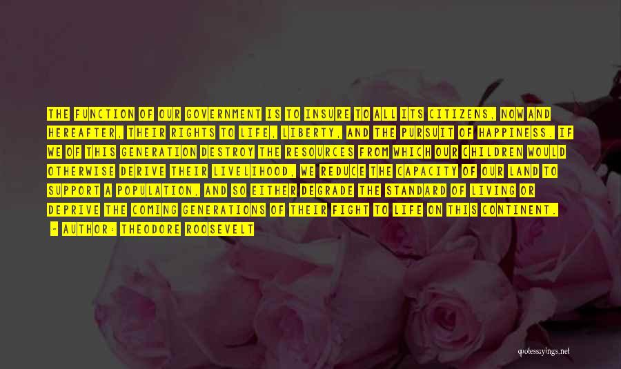 Theodore Roosevelt Quotes: The Function Of Our Government Is To Insure To All Its Citizens, Now And Hereafter, Their Rights To Life, Liberty,
