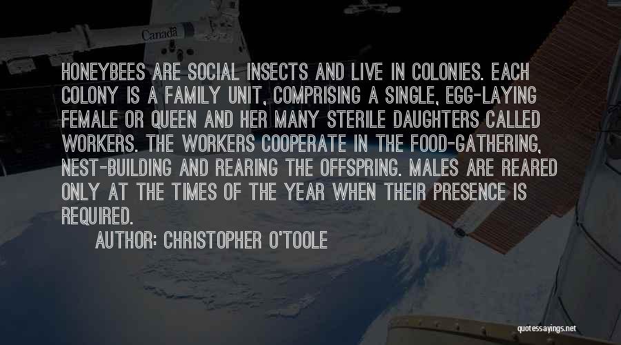 Christopher O'Toole Quotes: Honeybees Are Social Insects And Live In Colonies. Each Colony Is A Family Unit, Comprising A Single, Egg-laying Female Or
