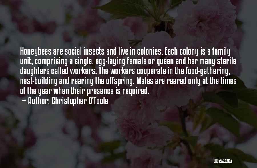Christopher O'Toole Quotes: Honeybees Are Social Insects And Live In Colonies. Each Colony Is A Family Unit, Comprising A Single, Egg-laying Female Or