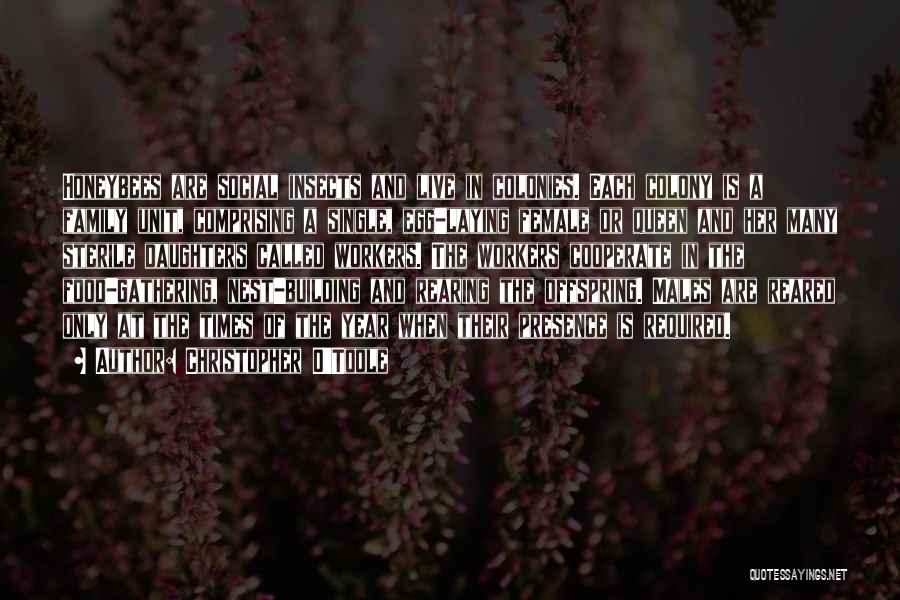 Christopher O'Toole Quotes: Honeybees Are Social Insects And Live In Colonies. Each Colony Is A Family Unit, Comprising A Single, Egg-laying Female Or