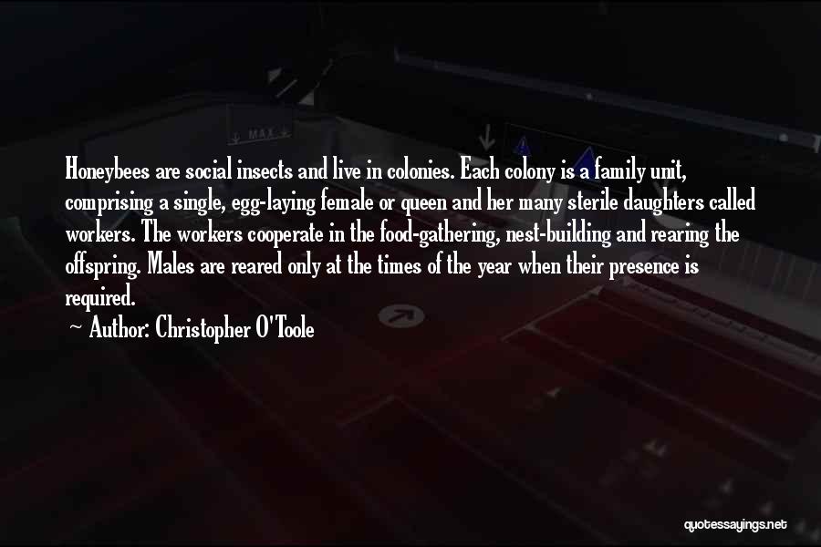 Christopher O'Toole Quotes: Honeybees Are Social Insects And Live In Colonies. Each Colony Is A Family Unit, Comprising A Single, Egg-laying Female Or