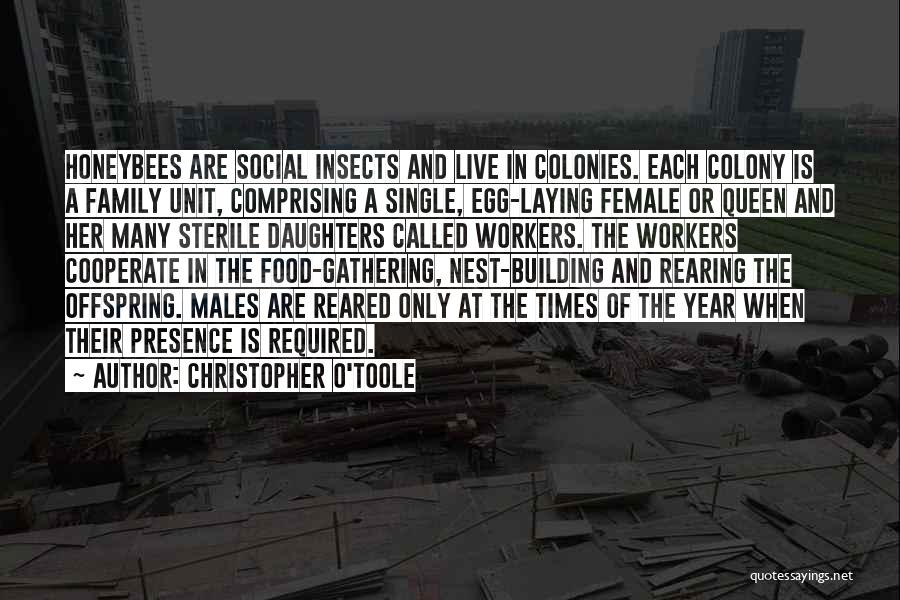 Christopher O'Toole Quotes: Honeybees Are Social Insects And Live In Colonies. Each Colony Is A Family Unit, Comprising A Single, Egg-laying Female Or