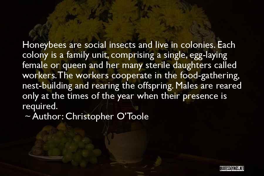 Christopher O'Toole Quotes: Honeybees Are Social Insects And Live In Colonies. Each Colony Is A Family Unit, Comprising A Single, Egg-laying Female Or