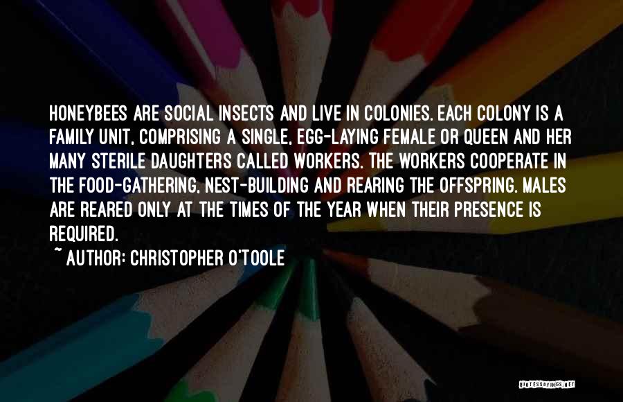 Christopher O'Toole Quotes: Honeybees Are Social Insects And Live In Colonies. Each Colony Is A Family Unit, Comprising A Single, Egg-laying Female Or