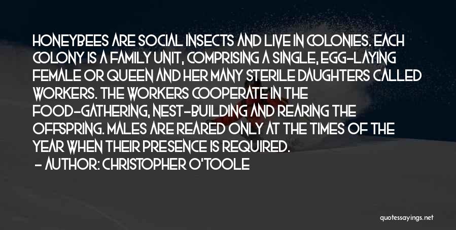 Christopher O'Toole Quotes: Honeybees Are Social Insects And Live In Colonies. Each Colony Is A Family Unit, Comprising A Single, Egg-laying Female Or