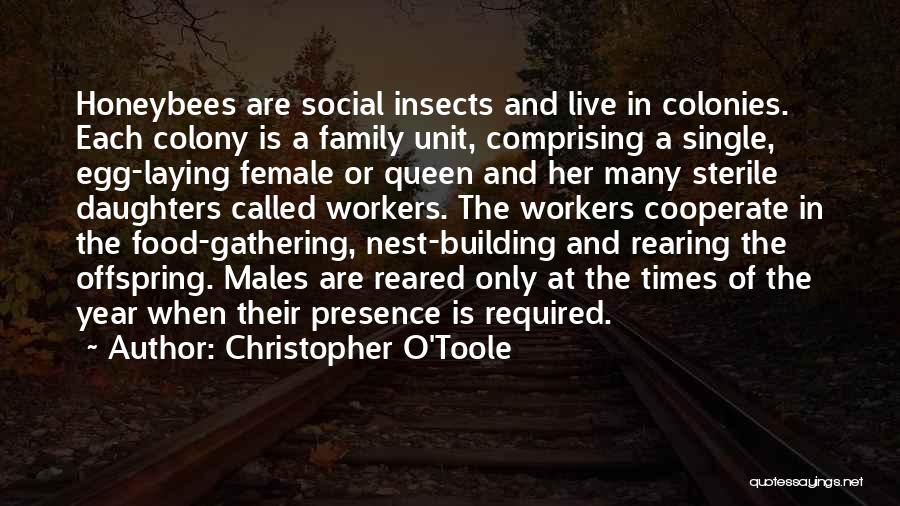 Christopher O'Toole Quotes: Honeybees Are Social Insects And Live In Colonies. Each Colony Is A Family Unit, Comprising A Single, Egg-laying Female Or