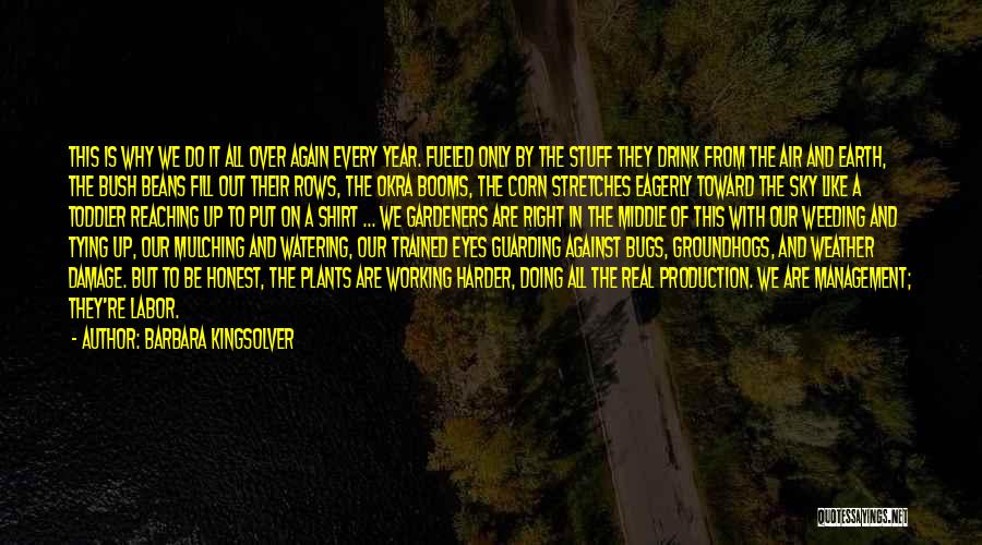 Barbara Kingsolver Quotes: This Is Why We Do It All Over Again Every Year. Fueled Only By The Stuff They Drink From The