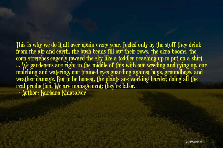 Barbara Kingsolver Quotes: This Is Why We Do It All Over Again Every Year. Fueled Only By The Stuff They Drink From The