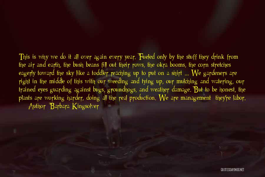 Barbara Kingsolver Quotes: This Is Why We Do It All Over Again Every Year. Fueled Only By The Stuff They Drink From The
