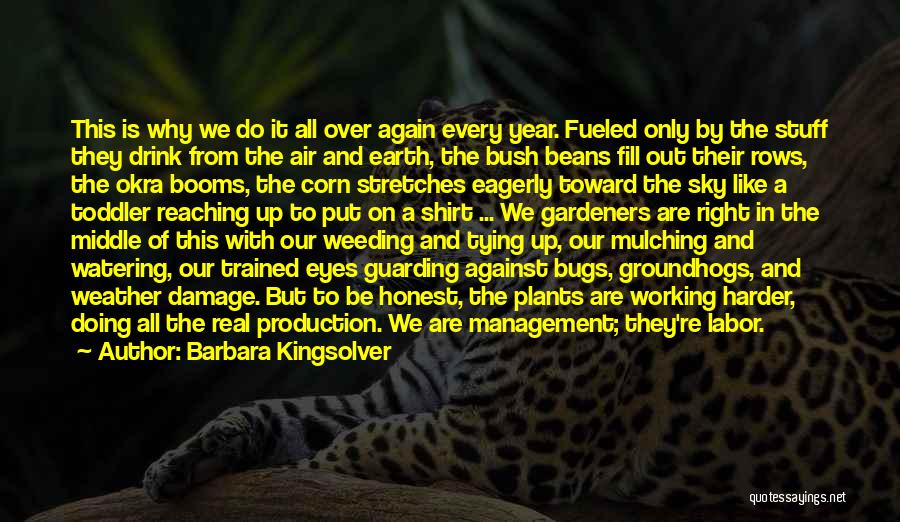 Barbara Kingsolver Quotes: This Is Why We Do It All Over Again Every Year. Fueled Only By The Stuff They Drink From The