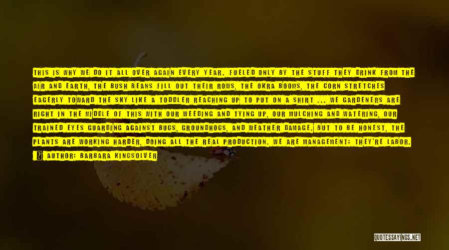 Barbara Kingsolver Quotes: This Is Why We Do It All Over Again Every Year. Fueled Only By The Stuff They Drink From The