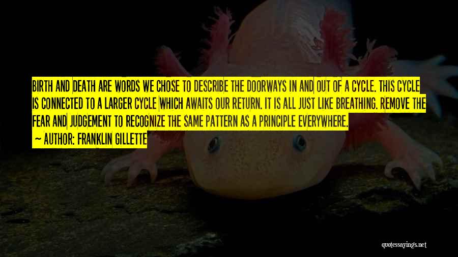 Franklin Gillette Quotes: Birth And Death Are Words We Chose To Describe The Doorways In And Out Of A Cycle. This Cycle Is