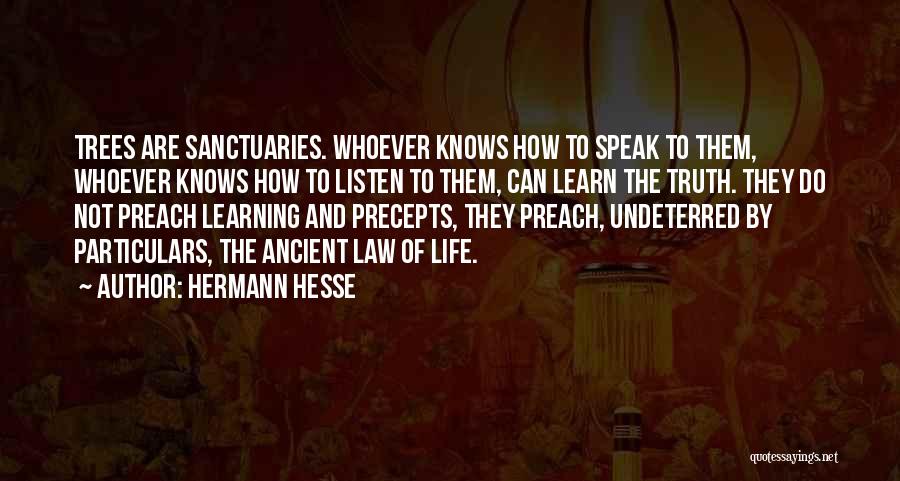 Hermann Hesse Quotes: Trees Are Sanctuaries. Whoever Knows How To Speak To Them, Whoever Knows How To Listen To Them, Can Learn The