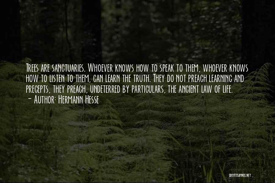 Hermann Hesse Quotes: Trees Are Sanctuaries. Whoever Knows How To Speak To Them, Whoever Knows How To Listen To Them, Can Learn The