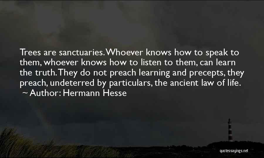 Hermann Hesse Quotes: Trees Are Sanctuaries. Whoever Knows How To Speak To Them, Whoever Knows How To Listen To Them, Can Learn The