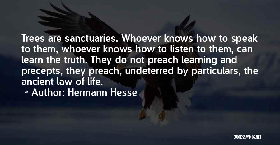 Hermann Hesse Quotes: Trees Are Sanctuaries. Whoever Knows How To Speak To Them, Whoever Knows How To Listen To Them, Can Learn The