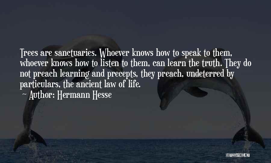 Hermann Hesse Quotes: Trees Are Sanctuaries. Whoever Knows How To Speak To Them, Whoever Knows How To Listen To Them, Can Learn The