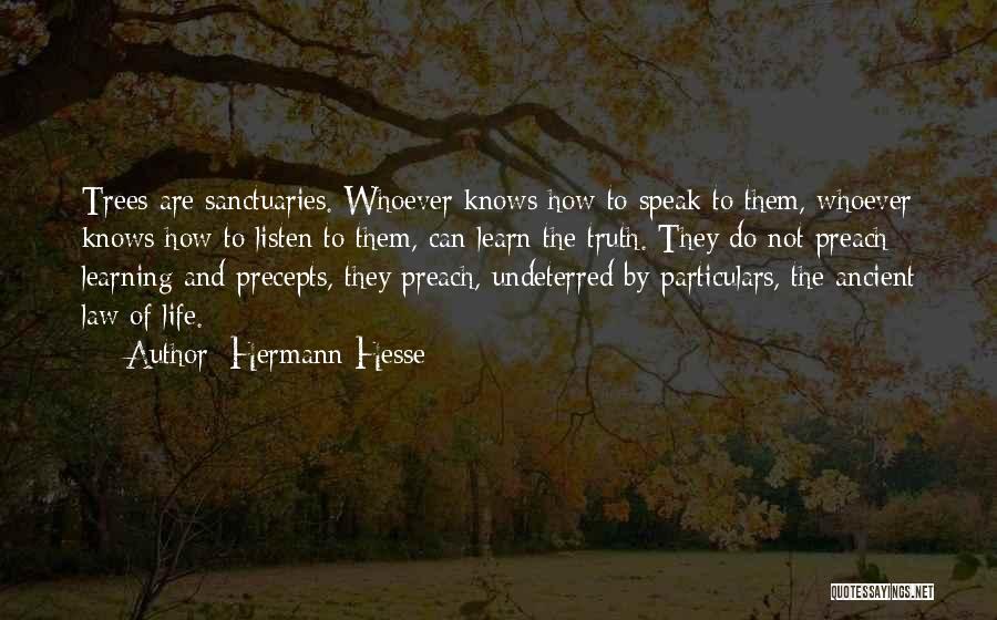 Hermann Hesse Quotes: Trees Are Sanctuaries. Whoever Knows How To Speak To Them, Whoever Knows How To Listen To Them, Can Learn The